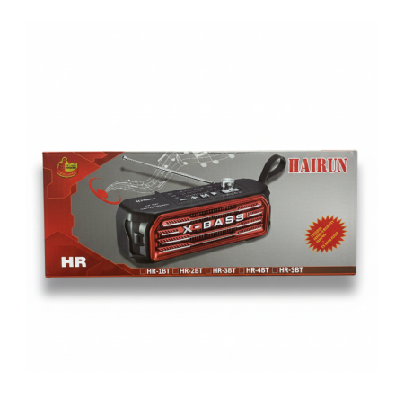 Hairun HR-2BT Radio